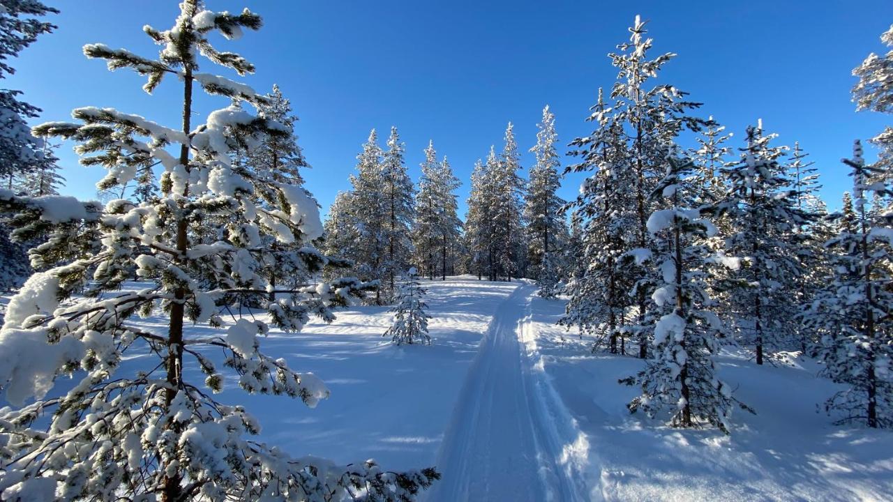 Lapiosalmi Wilderness Center Hotel Посио Екстериор снимка