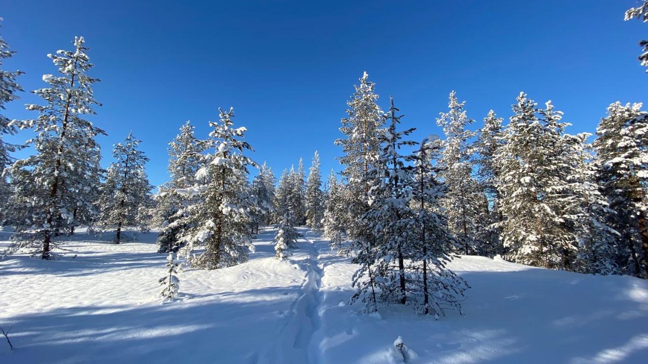 Lapiosalmi Wilderness Center Hotel Посио Екстериор снимка